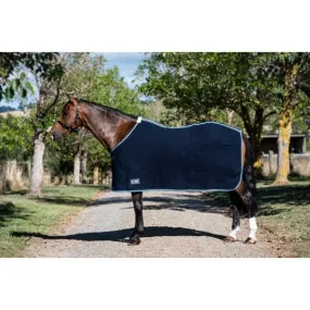 EQ Armour Wool Rug